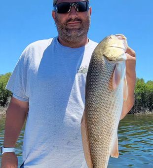 Redfish caught in Crystal River's charm.